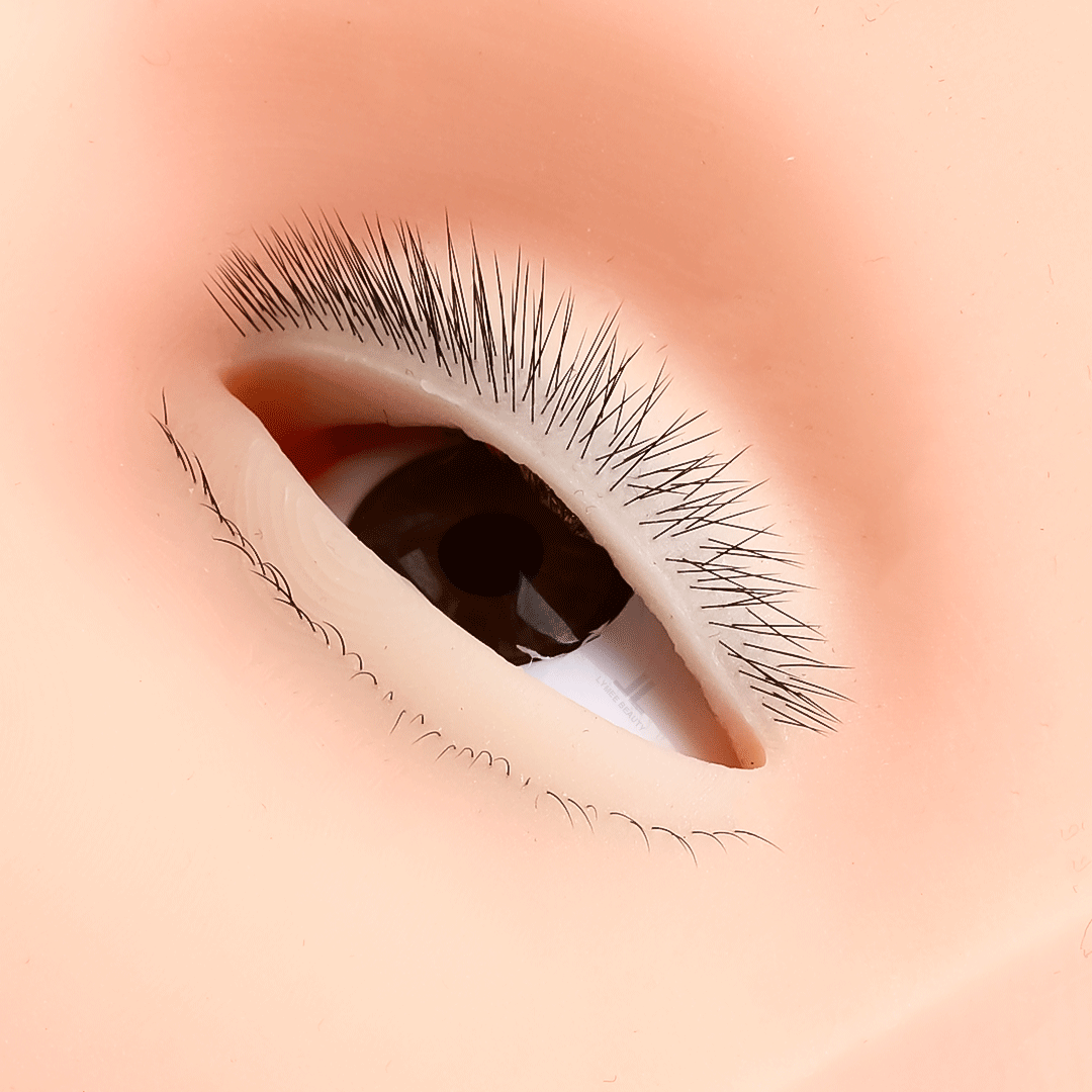 Mini Mannequin à 4 couches pou - Eyelash Extension Open Eye avis et prix